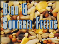 BIRD & SQUIRREL FEEDS