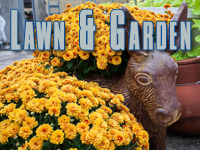LAWN & GARDEN