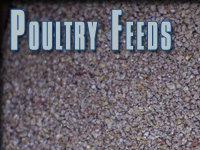 POULTRY FEEDS