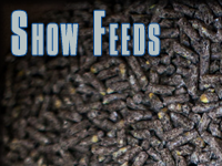 SHOW FEEDS