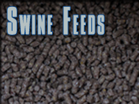 SWINE FEEDS